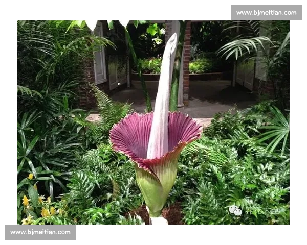 2026，凯恩的“涅槃重生”，能否震撼世界